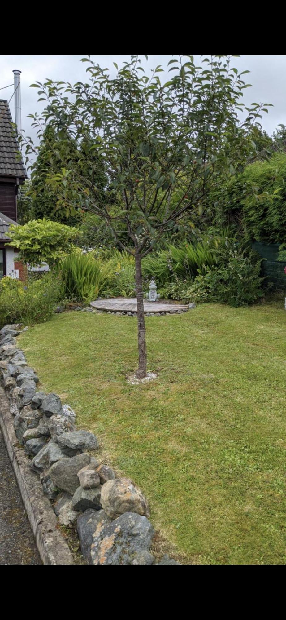 Contemporary Highland House Close To Town And Ben Nevis Форт Уилям Екстериор снимка